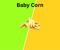 Baby Corn