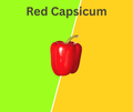 Red Bell Pepper