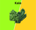 Kale