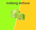 Iceberg lettuce