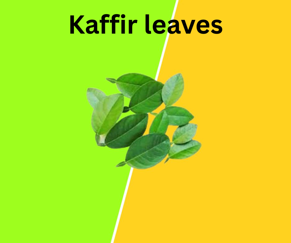 Kaffir lime leaves