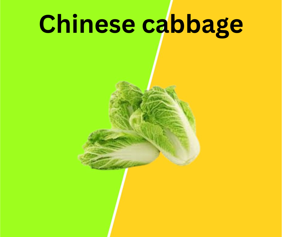 Chinese Cabbage