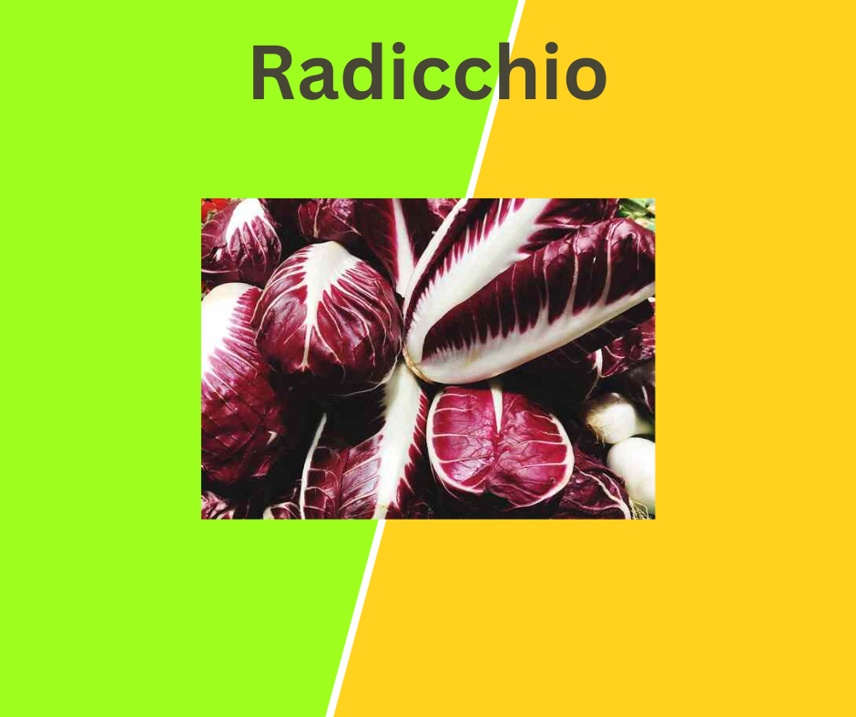Radicchio