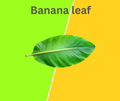 Banana leaf