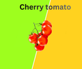 Cherry Tomato