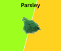 Parsley