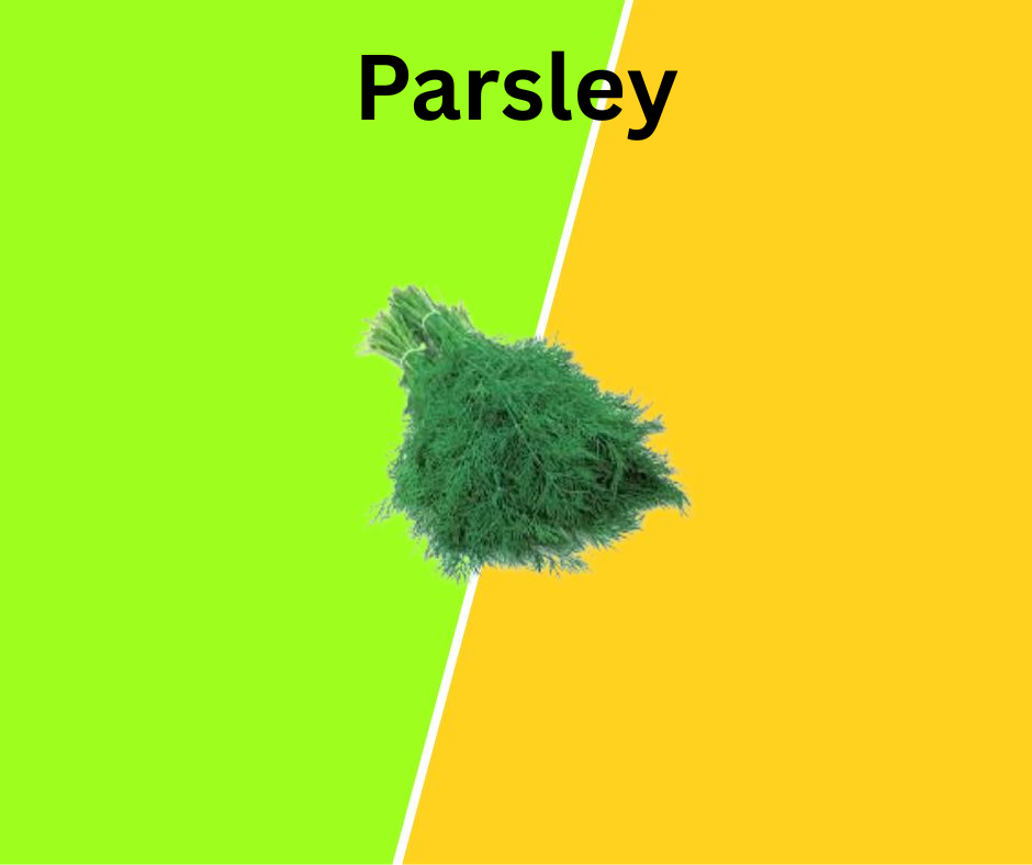 Parsley