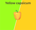 Yellow Bell Pepper