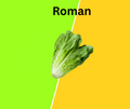 Romanesco