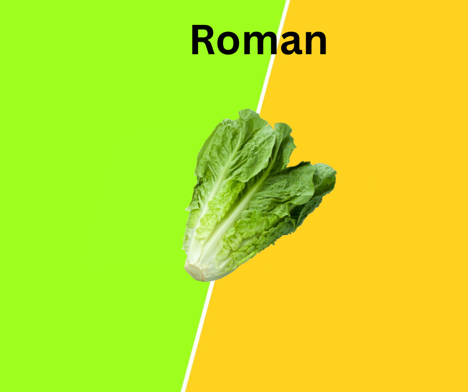 Romanesco